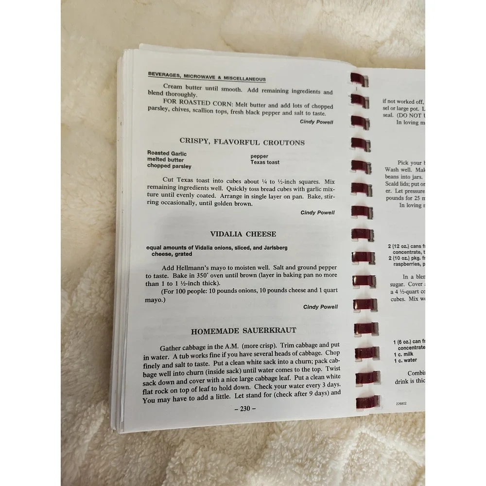 Vtg 90's Solid Rock Baptist Church Cookbook Cleveland GA 1996 Grandma Sourdough